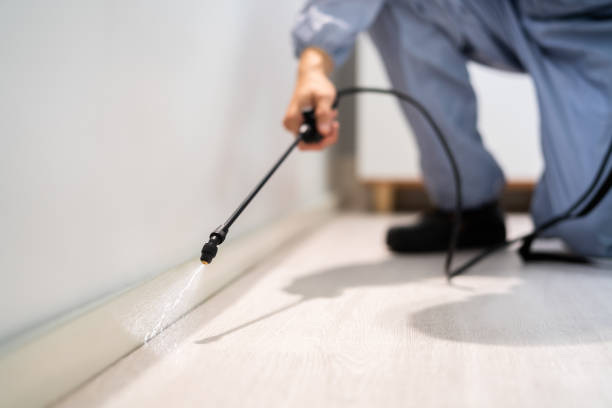 Licensed Rodent Control service in Morrill County County, NE - Nex Pest Control